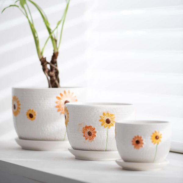 Decorative Ceramic Plant Pots with Drainage and Matching Saucers