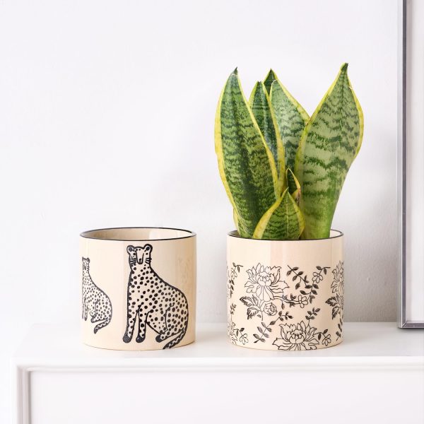 Funny Ceramic Plant Pot with Drainage for Indoor Plants