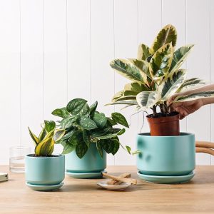 Ceramic Plant Pots with Drainage Hole and Matching Saucers