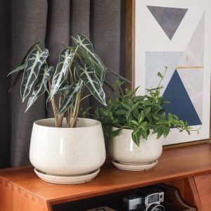 Ceramic Plant Pots with Drainage Hole and Saucer for Plants