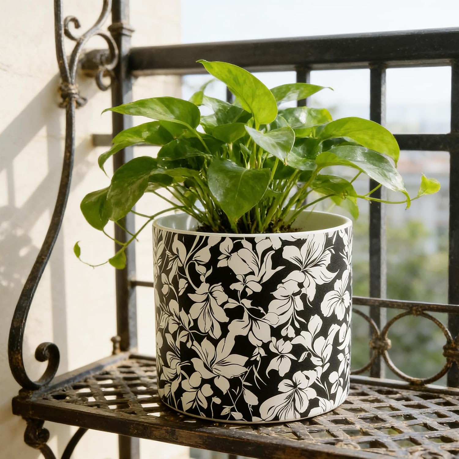 Ceramic Plant Pots with Drainage Holes and Matching Trays