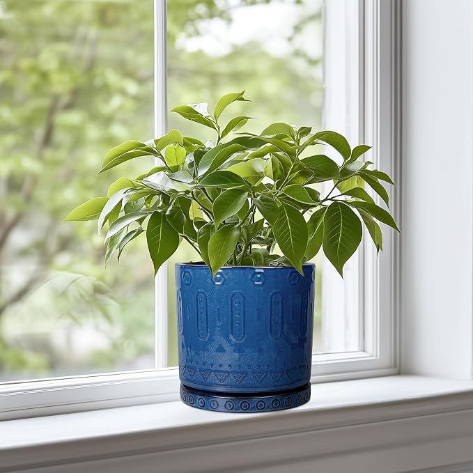 Ceramic Planter with Drainage Hole and Saucer for Plants