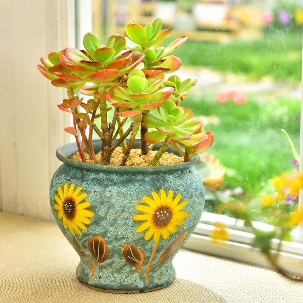 Decorative Ceramic Flower Pot for Indoor Outdoor Plants