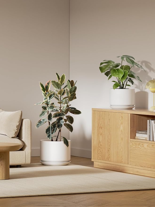 Ceramic Plant Pot with Drainage Hole and Saucer for Decor - Image 2