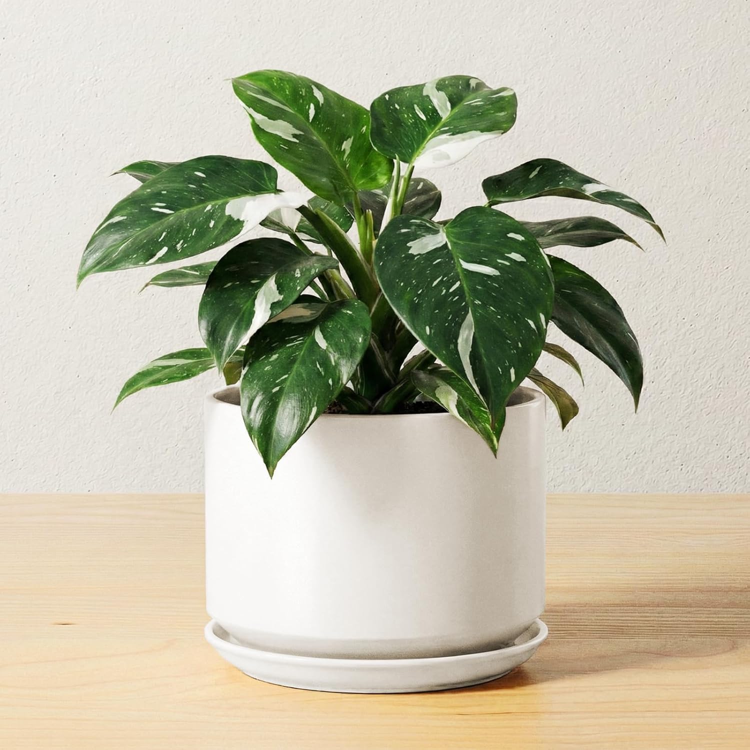 Ceramic Planter with Drainage Hole and Saucer for Indoor Decor