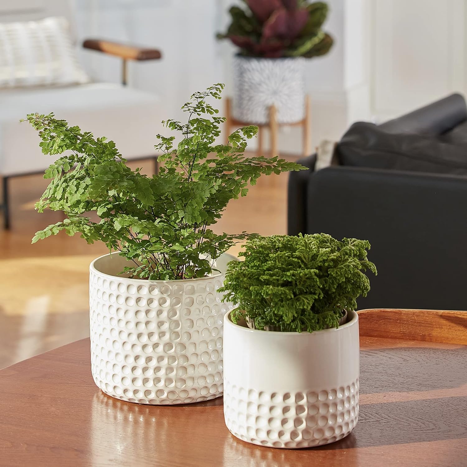 Ceramic Planters with Drainage Hole for Indoor Plants