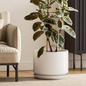 Ceramic Plant Pot with Drainage Hole and Saucer for Decor
