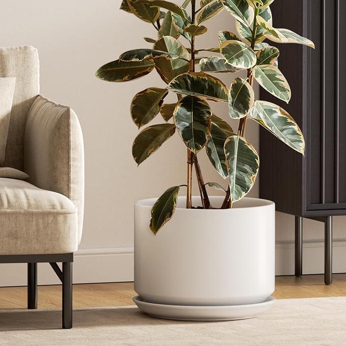 Ceramic Plant Pot with Drainage Hole and Saucer for Decor
