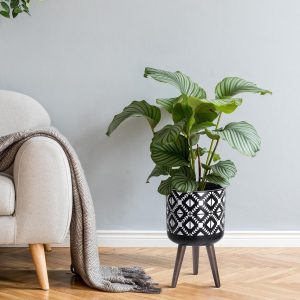 Planter with Stand for Indoor Decorative House Plants
