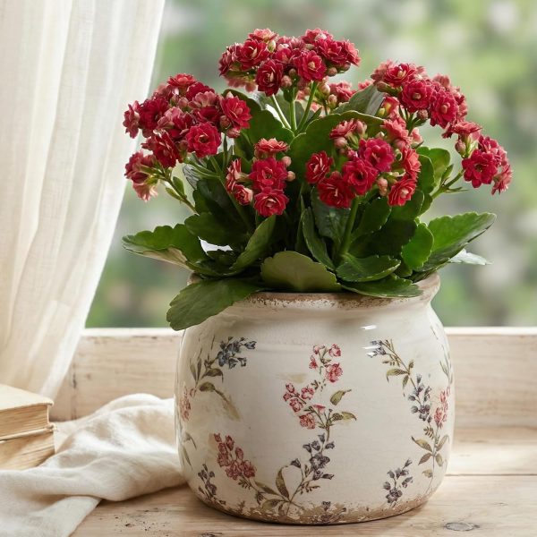 Vintage Ceramic Planter with Drainage for Indoor Decorative Plants
